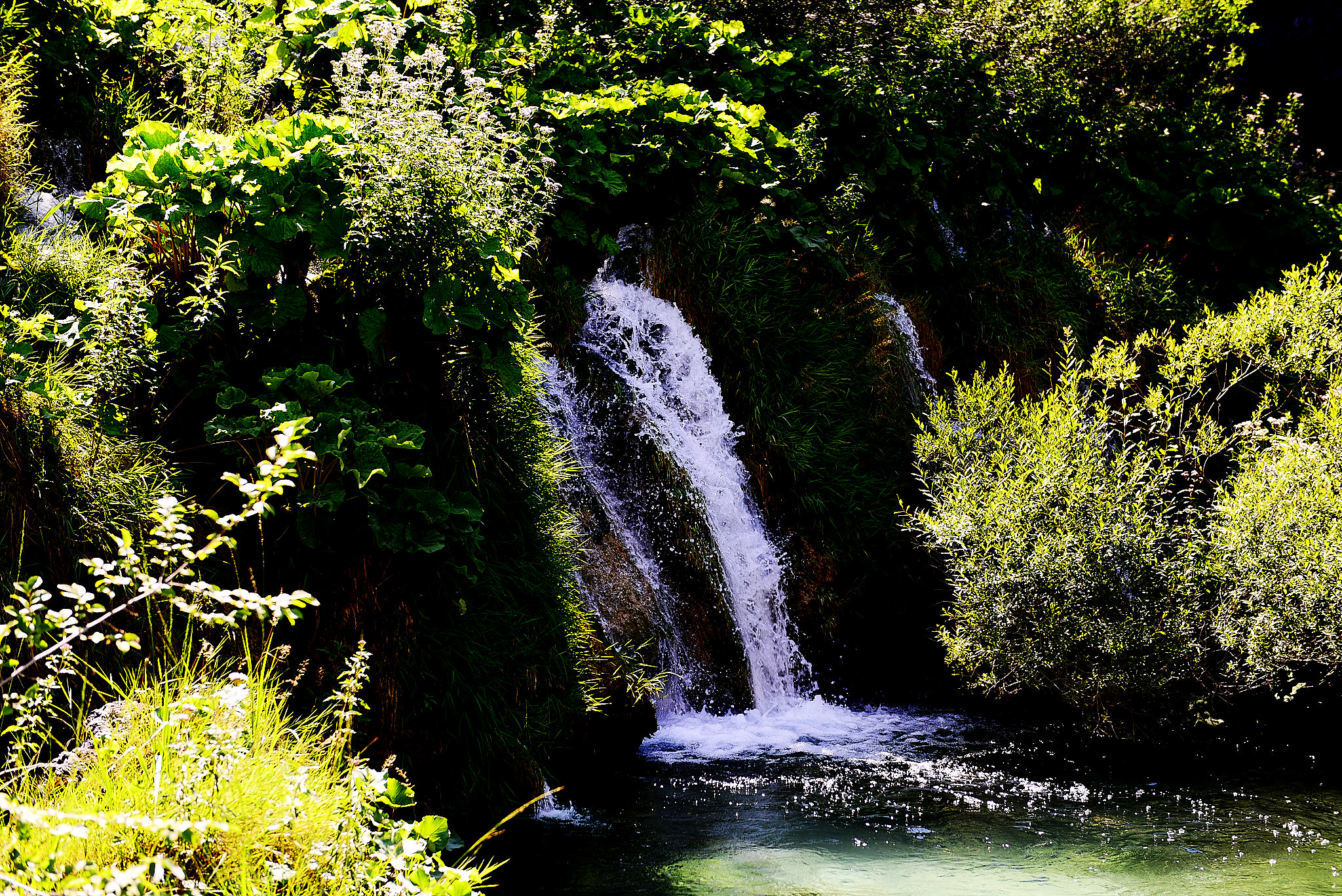 20120816 205 플리트비체 국립공원